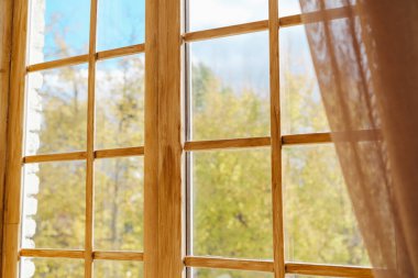 Eski ahşap pencere camı yeşil ve sarı ağaçlara ve mavi gökyüzüne dik dik bakıyor.