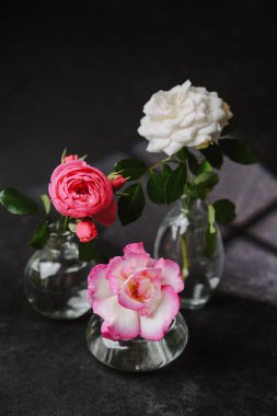 Koyu dokulu yüzeyde küçük cam vazolarda üç narin gül, bir beyaz, iki pembe ve beyaz