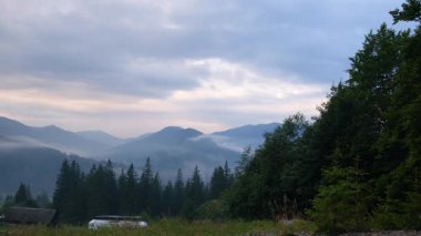 Şafakta çam ağaçları ve bulutlarla puslu dağ sıraları, kırsal orman manzarası