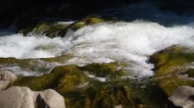 Güçlü nehir dalgaları yosunlu kayaların üzerinden taşar ve karanlık gölgeli doğal ortamda pürüzsüz taşlar..