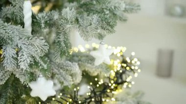 Beyaz yıldız süsleri ve sıcak sicim ışıkları olan donmuş çam dallarını kapatın..