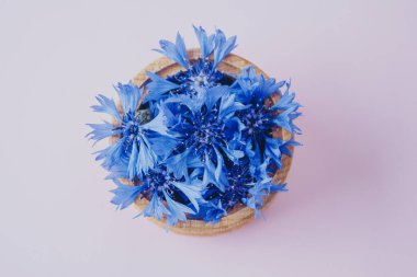 Centaurea siyanus çiçeklerini pembe arka plandaki ahşap kasede kapat.