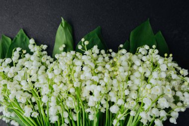 Siyah desenli arka planda vadideki zambak manzarası