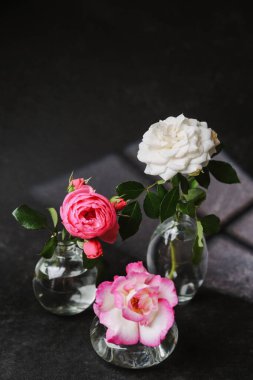 Koyu dokulu yüzeyde, yumuşak ışıklandırmalı küçük cam vazolarda üç narin gül.