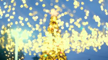 Ilık, pırıl pırıl tatil ışıkları şenlikli bir ağaç ve mavi gökyüzü ile bohçalanır.