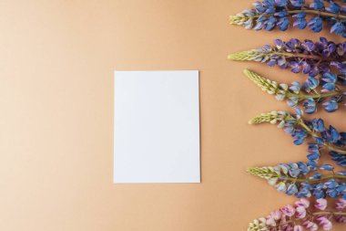 Bej arka planda lupin çiçekleri olan boş kart