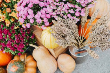 Sonbahar hasat bolluğu renkli kasımpatılar ve balkabakları sonbahar bolluğu sergiler.