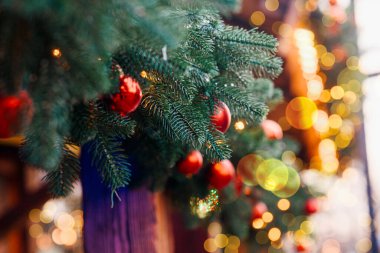 Parlak kırmızı süslemeleri olan yeşil Noel ağacı dalları ve sıcak festival ışıkları arka planda.
