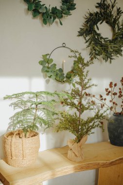 Örgü sepetinde küçük yeşil ağaçlar ve asılı çelenklerle ahşap raflarda çuval bezi.