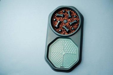 Yavru köpek ve kemik şekilli, arka planda yavaş beslenme kasesi..