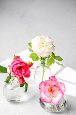 Su dolu cam vazolarda üç renkli gül, parlak ışık yüzeyde yumuşak gölgeler bırakıyor.