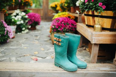 Yeşil bahçe botları, sonbaharda renkli çiçeklerle çevrili ahşap basamaklarda duruyor.