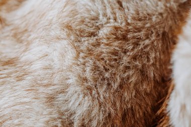 Bu doğal hayvan kürkünün dokunsal yumuşaklığını hissedin, çok güzel renkler içeriyor..