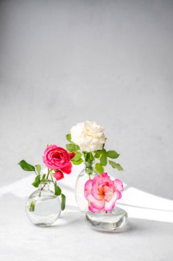 Doğal ışık ve gölgeli küçük cam vazolarda üç gül.