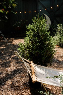 Hamak ve perili ışıklar çam ağacının yanında rahat bir hava için.