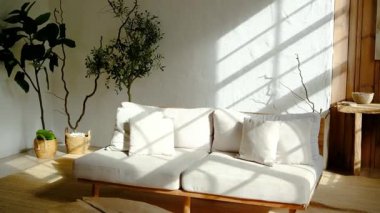 Kanepesi ve bitkileri olan parlak bir oda. Duvardaki doğal ışık deseni. İç dekorasyon.