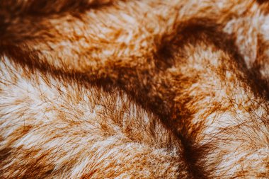 Yumuşak liflerin dokunsal dokunuşunu hisset, turuncunun canlı tonlarında büyüleyici bir desen.