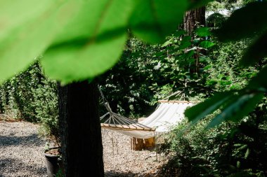 Kaçmak ve rahatlamak için gölgeli yeşil orman bahçesinde hamak