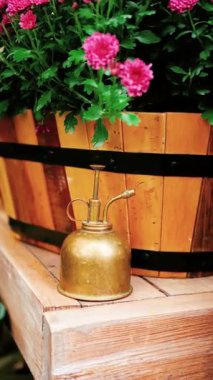 Tahta bir rafta, saksıdaki pembe çiçeklerin yanında altın sulama kutusu.