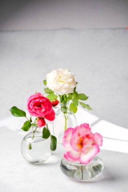 Açık arkaplanda su bulunan şeffaf cam vazolarda üç narin gül. Doğal ışık