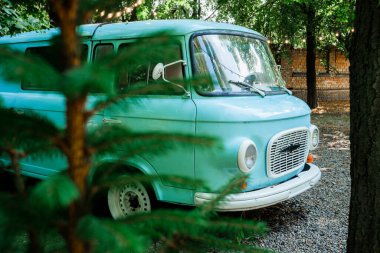 Bahçedeki çam ağacının arkasındaki klasik mavi minibüs seyahat ve retro yaşam tarzı için.