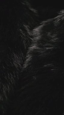 Ayrıntılı makro. Lüks, yumuşak, siyah hayvan kürkü dokusunun yakın görüntüsü.