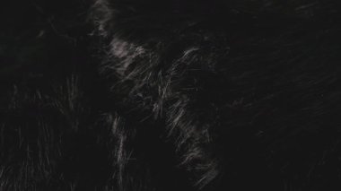 Doğal koyu renk hayvan kürkü dokusuna yakından bak. Yumuşak siyah kıllı yüzey arka plan deseni
