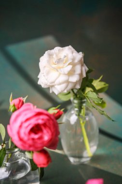 Yumuşak yeşil zeminli cam vazolarda iki gül. Bir beyaz gül keskin, bir pembe gül bulanık..