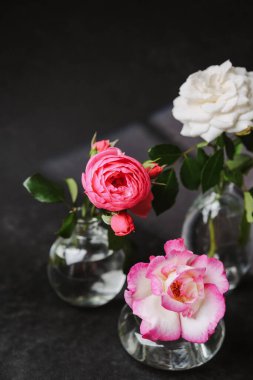 Pembe ve beyaz güller berrak cam vazolarda koyu arkaplanda.