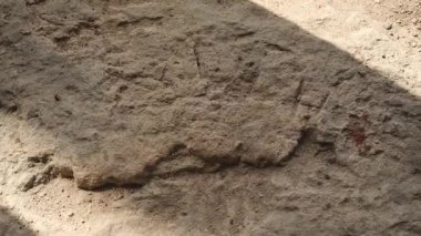 Kurumuş çatlamış toprak yüzeyinde belli belirsiz izler ve seyrek kuru çöl bitkileri var.