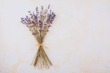 Aromaterapi, dekorasyon ya da spa konsepti için beyaz zemin üzerine iple bağlanmış kurutulmuş lavanta.