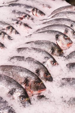 Işıl ışıl pulları olan el değmemiş avlar en uygun tazelik ve en çekici görüntü için mükemmel bir şekilde düzenlenmiştir..