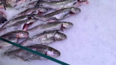 Piyasa tezgahında buzda sergilenen taze taze taze taze taze taze taze tatlı su balığı.