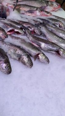 Taze yakalanmış ve bağırsakları deşilmiş alabalık balığı ezilmiş buzdan yapılmış el değmemiş bir yatakta güzelce sergilenir.