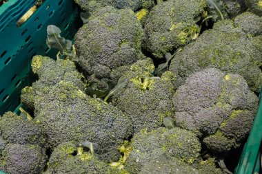 Sağlıklı yeşil brokoli çiçekleri satılık, dengeli bir diyet için mükemmel..