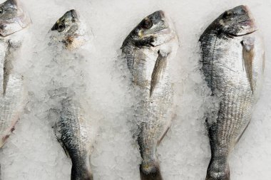 Bu başlıca örnekler titizlikle düzenlenmiştir. Mutfak için kalite ve hazırlık niteliği önerilir..