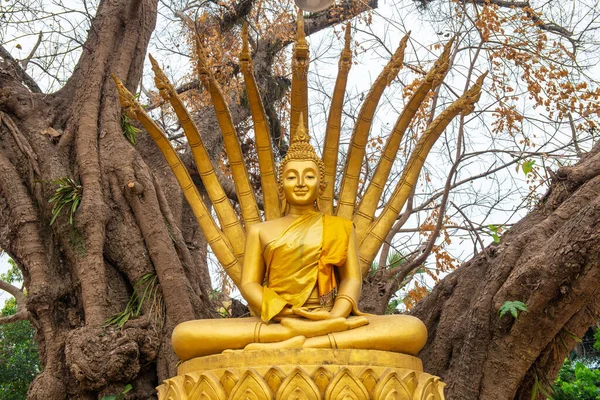 Statua Buddha Stile Laos Postura Con Serpente Che Protetto Buddha — Foto Stock