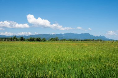 Doi Nang Non (Uyuyan Kadın Dağı), Tayland 'ın Chiang Rai bölgesindeki Mae Sai bölgesinde bulunan ikonik bir dağ silsilesidir..