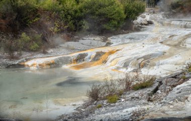 Kireçtaşı, Whakarewarewa 'daki kalsiyum karbonatın hızlı yağışı sonucu oluşan gözenekli bir kaya olan travertine şeklinde sıcak pınarların etrafında oluşur. Yeni Zelanda' nın Rotorua kentindeki yaşayan Maori köyü..