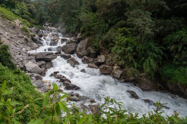 Langtang Khola nehri güneyden gelen bir nehir Langtang yolu boyunca akar, Nepal.