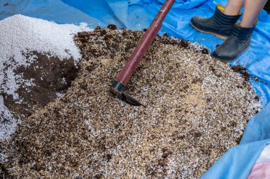 Bahçıvan karıştırmak ve karıştırmak için hindistan cevizi kabuğu, pirinç kabuğu, inek gübresi ve Perlite kullanıyor. Bu toprak, özellikle bitki yetiştirmek için tasarlanmış, topraktan yapılma, insan yapımı bir maddedir..