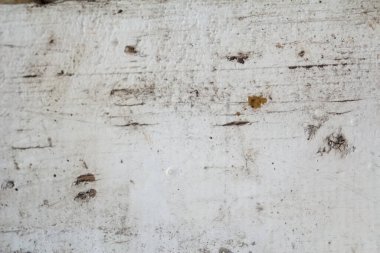 Defocus beyaz, eski ahşap dokuya boyanmış. Boya arka planı soyuluyor. Beyaz ahşap kaplama dokusu. Eski tarz. Arkaplan. Yıpranmış tahta yüzeyi. Odaklanamıyorum.