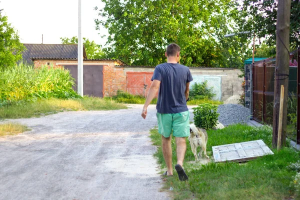 Jeune homme déconcentré marchant avec un chien, laika husky sibérien, dans le village, à la campagne. L'été, vue arrière. L'animal traîne le propriétaire avec force. Hors foyer — Photo