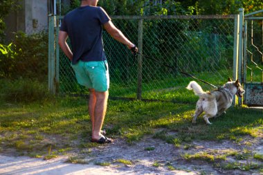 Defocus 'lu genç adam, Sibirya laika husky' si olan bir köpekle köyde, kırsalda yürüyor. Geniş adım, dikiz açısı. Evcil hayvan sahibini sürüklüyor. Bulanık sokak arkaplanı ve eski demir fantazisi. Odaklanamıyorum