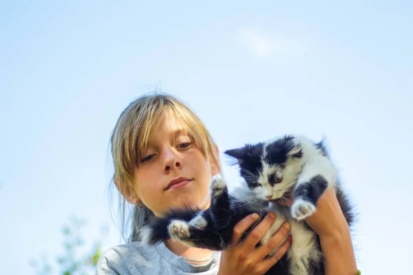 浓密的金发碧眼的少女牵着白猫和黑猫 小猫在蓝天背景 动物爱情的概念 注意力不集中 — 图库照片