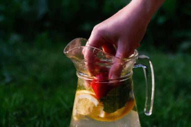 Defocus 'un eli, limonata dilimlenmiş cam sürahi içine çilek ve doğal koyu yeşil arka planda nane koydu. Taze yaz kokteyli ya da dışarıda punç. Uzayı kopyala Odaklanamıyorum.