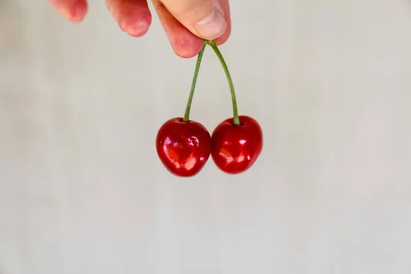 Defocus female hand holding and hanging two sweet cherries tail on craft old gray stone concrete background. Organic food. Summer fruits and berries. Shiny bright red fruits. Isolated — Stock Photo, Image