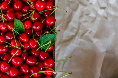 Kırpılmış kutu, koyu kırmızı kiraz çatalı kuyruklu ve yaprakları buruşuk kağıt arka planda. Yaz meyveleri. Hasat ve hasat konsepti. Organik yiyecekler. Yaz zamanı. Üst Manzara. Boşluğu kopyala