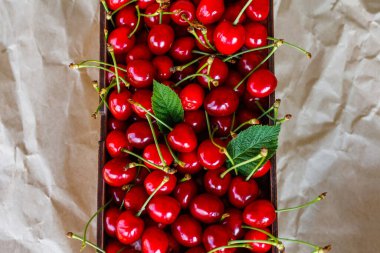 Yakın plan kırpılmış kutu, kırmızı kiraz çatallı, kuyruğu ve yaprakları buruşuk kağıt arka planda. Yaz meyveleri ve meyveler. Hasat ve hasat konsepti. Organik yiyecekler. Yaz zamanı. Üst görünüm.