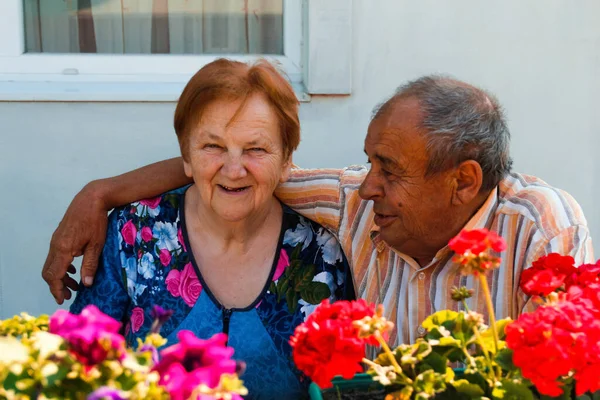Elderly couple embracing in summer day. Joyful nice elderly pair of husband and wife smiling and posing on flowers garden background. Love and family concept. Side view of man.